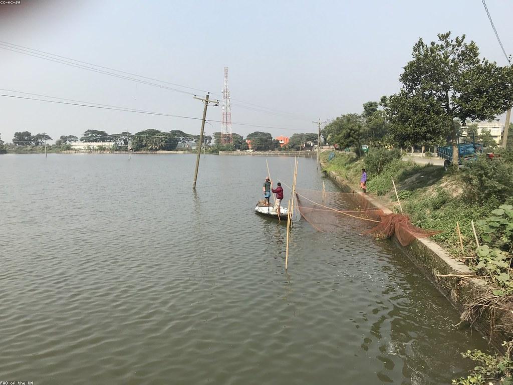 ផលប៉ះពាល់​នៃ​ក្បាលស្ទូច​លើការប្រកួត