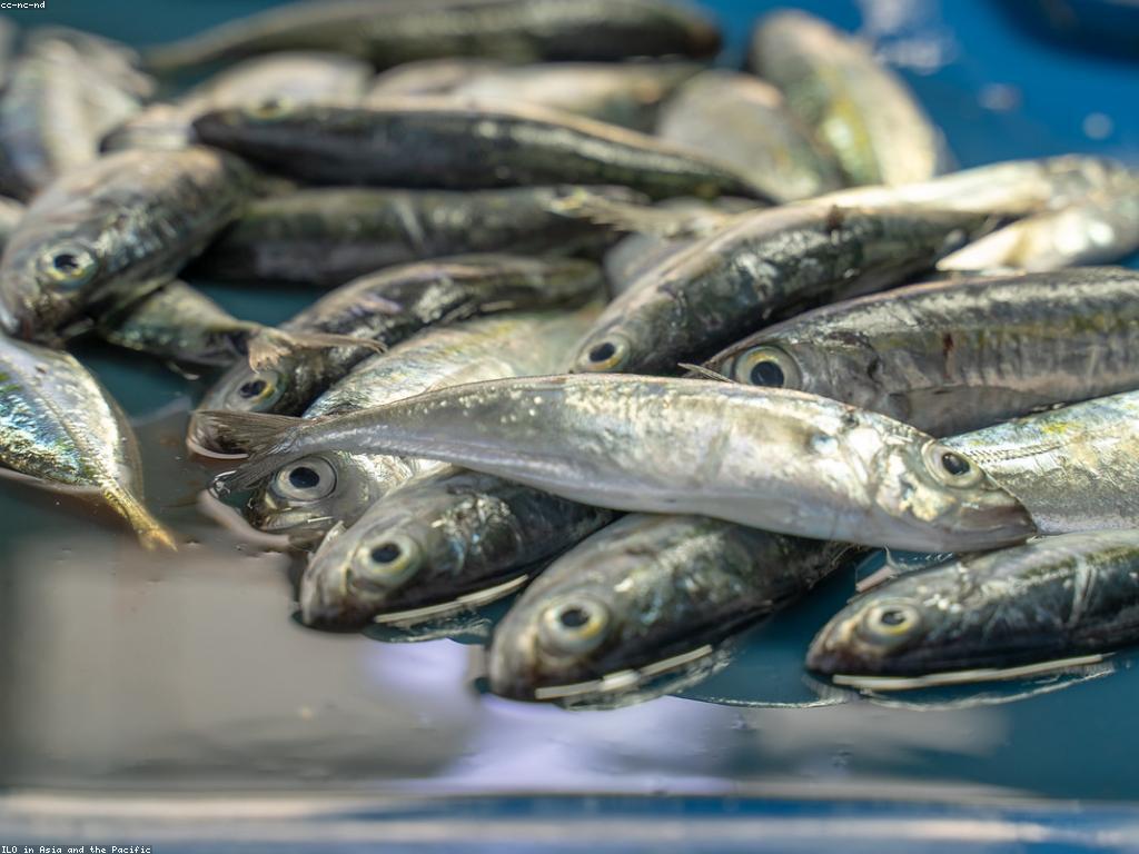 វិធីសាស្ត្រក្បាលស្ទូចក្នុងការប្រកួត