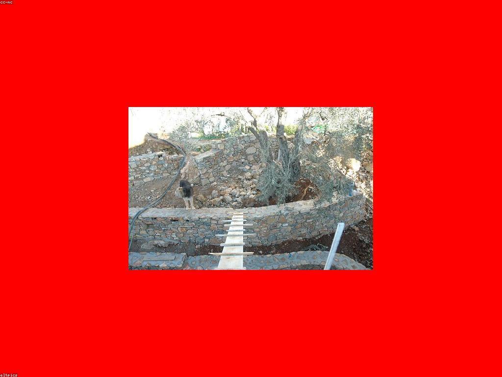 ការប្រកួតក្បាលស្ទូចនិងក្បាលកីឡា