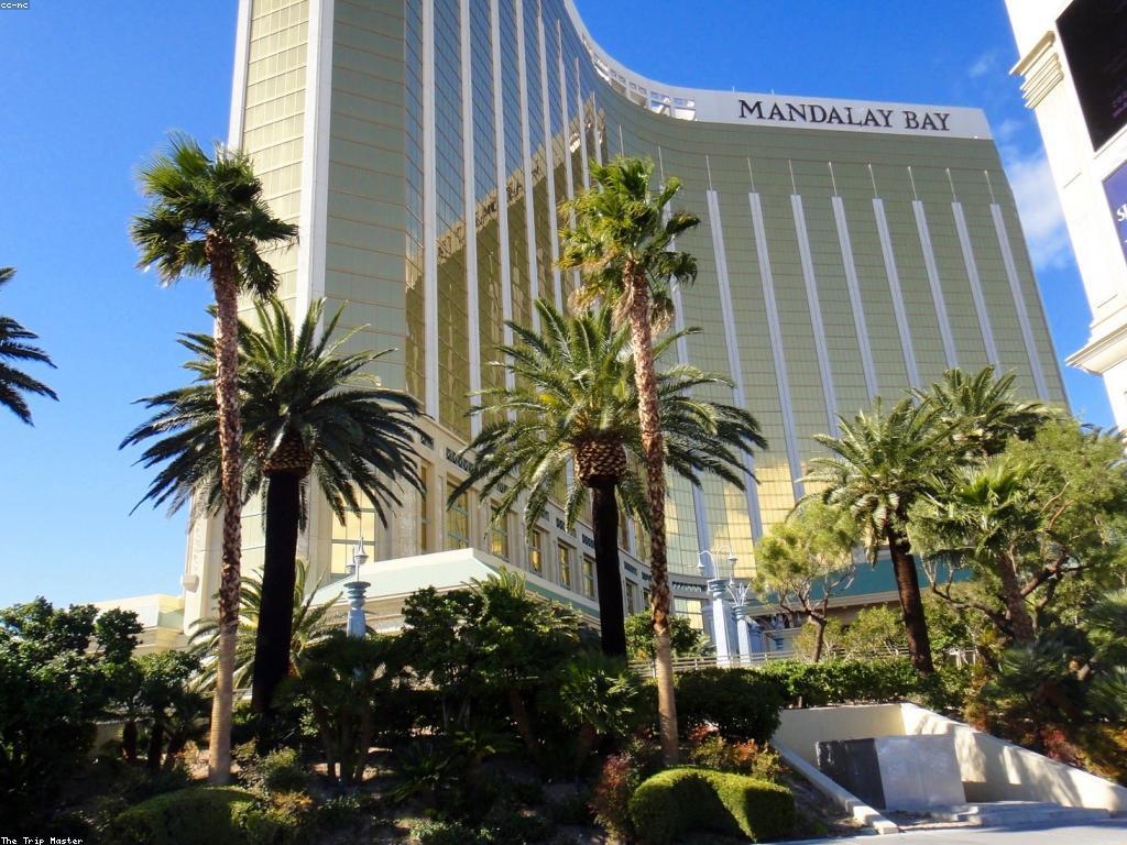 យុទ្ធសាស្ត្រកាស៊ីណូ: ការទទួលជោគជ័យក្នុងការលេងកាស៊ីណូ