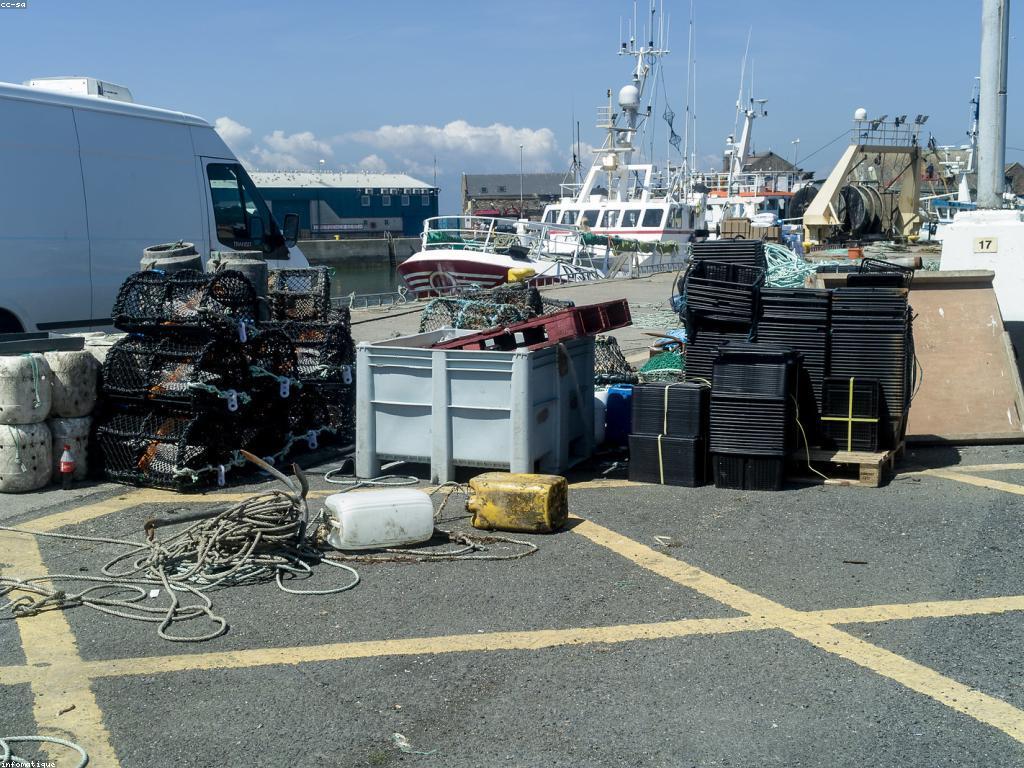 ក្បាលស្ទូចនិងការប្រកួត: ការប្រារព្ធពិធីនៃការស្ទូចត្រី