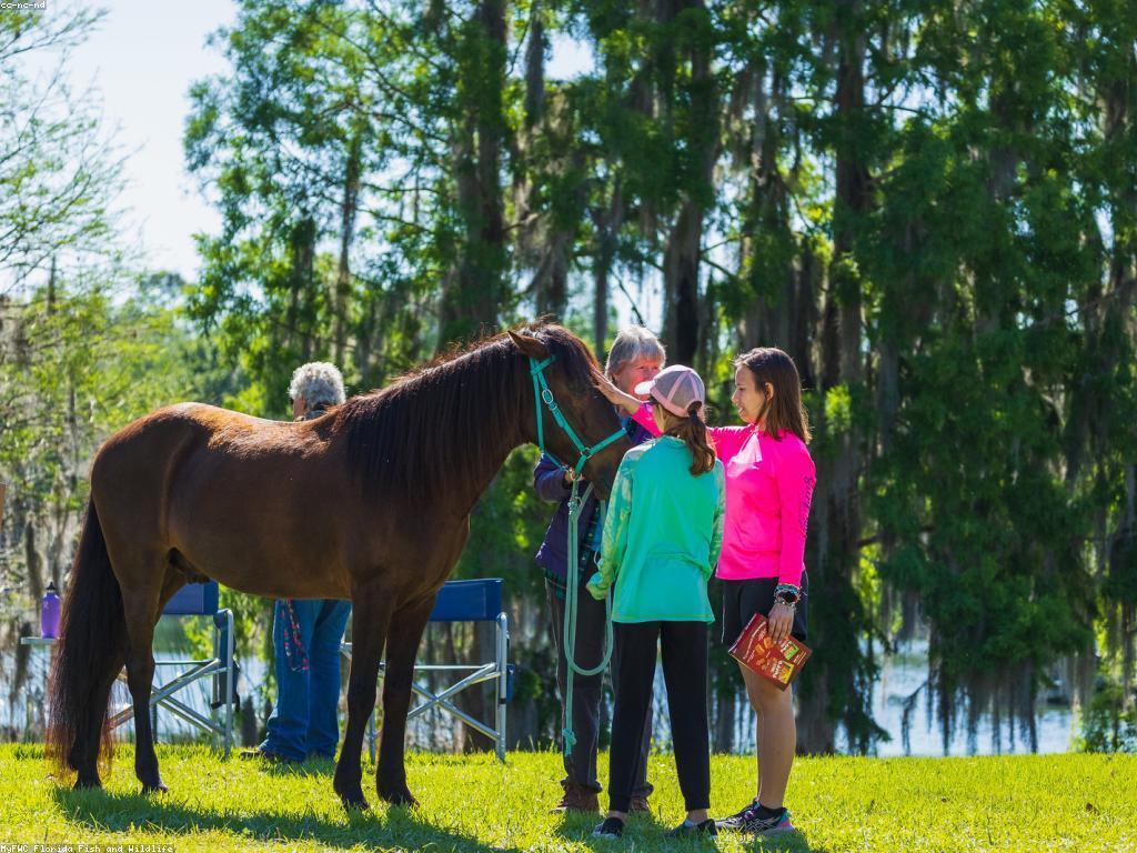 ការប្រកួតក្បាលស្ទូចនិងស្លុតសមាជិក